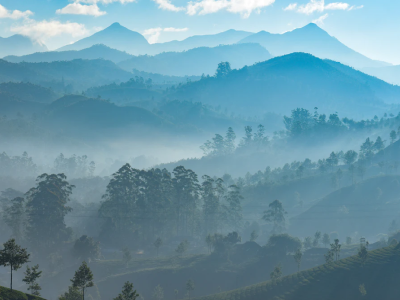 超凡国际官网 - 不凡成绩非凡